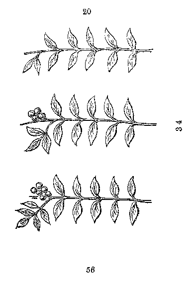 Illustration of '20', '34' & '56'.