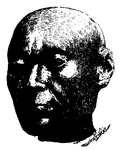 Fig 206.--Head of a scribe. Saïte work. 