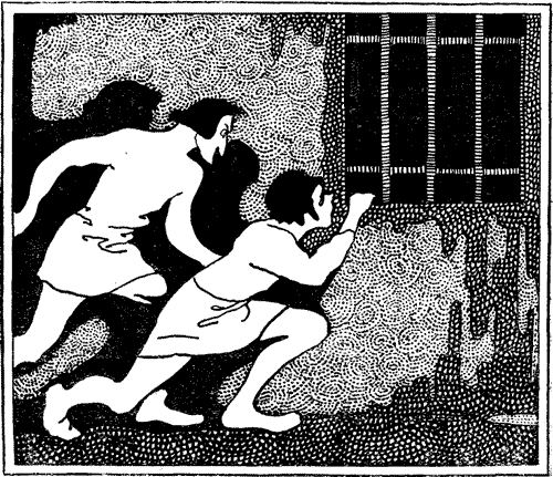 Looking in the window