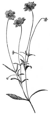 Fig. 26.