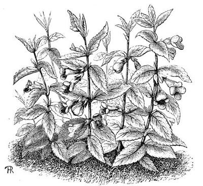 Fig. 63.