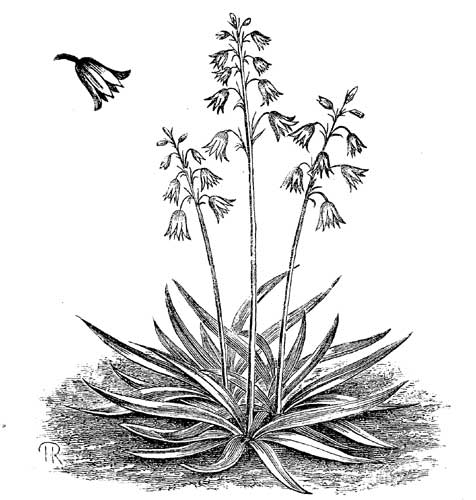 Fig. 94.