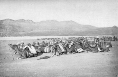 Author's Caravan and Others Halting in the Desert.