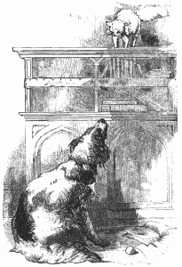 Bright trying to coax Snow-drop down