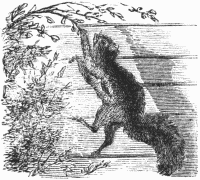 Catching the edge of a twig