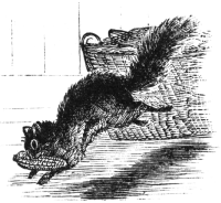 Bunny taking the corn