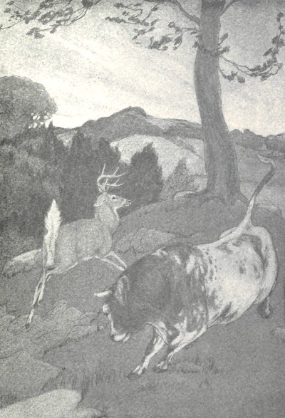 "THIS TIME THE CHARGE WAS DOWN-HILL."