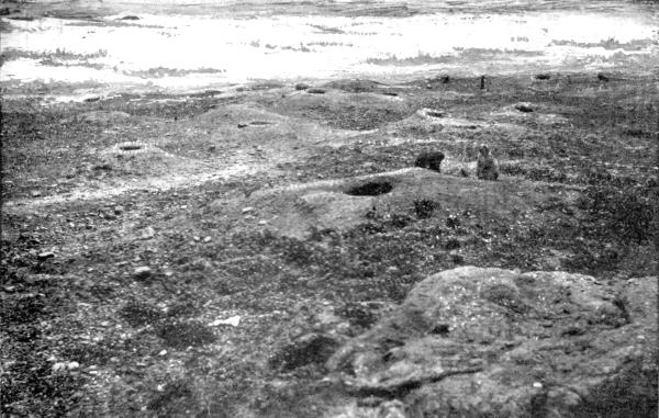 I. A Prairie-dog town  In N. Y. Zoo. Photo by E. T. Seton