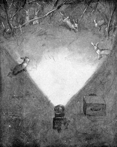 XXX. Snowshoe Rabbits dancing in the light of the lantern  Sketch by E. T. Seton