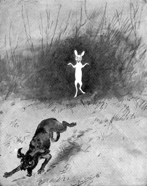 XXXII. The Ghost Rabbit  Sketch by E. T. Seton