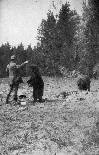 XLIV. Clifford B. Harmon feeding a Bear  Photo by E. T. Seton