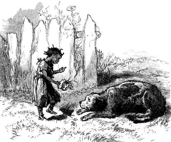 A NAUGHTY LITTLE DOG. "You bad dog, you's done gone tore my bes' bunnit mos' to pieces. I's a big min' to gib you a whippin' that you'll 'member. Yes, I has."