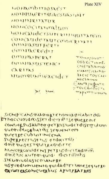 Plate XIV. Illustration.