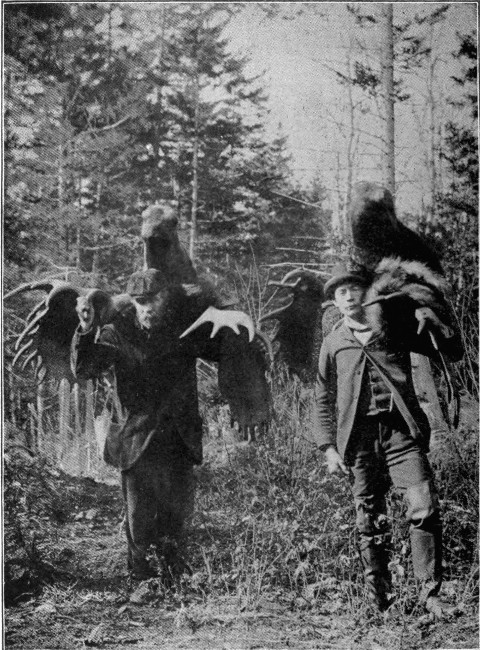 TWO MAGNIFICENT TROPHIES OF THE CHASE.  The one on the left formerly held the Maine Record.