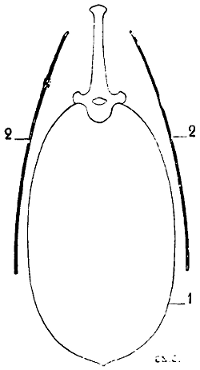 Fig. 11