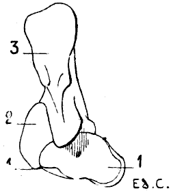 Fig. 26