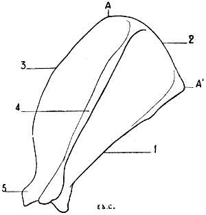 Fig. 35