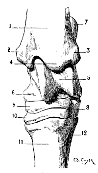 Fig. 54