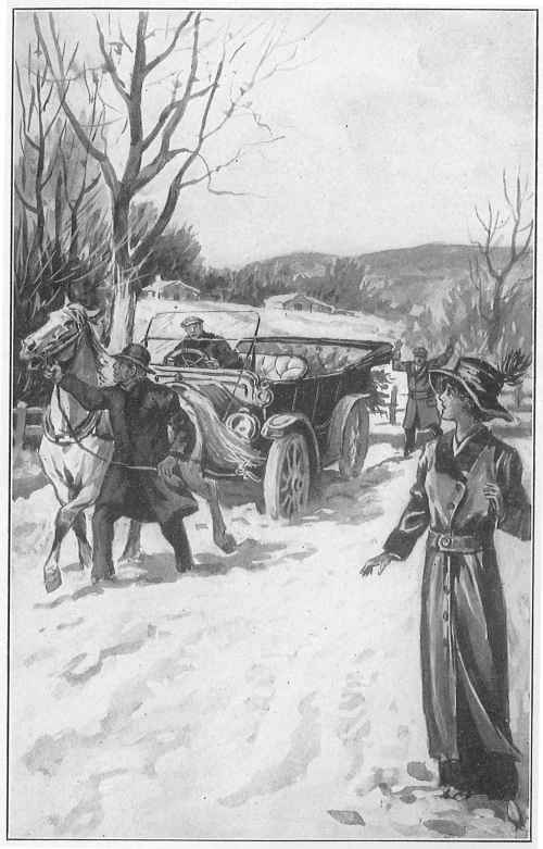 SUDDENLY THE OLD HORSE, AS IF DESPERATE, GAVE A JERK AND PULLED THE FIRE BIRD CLEAR.