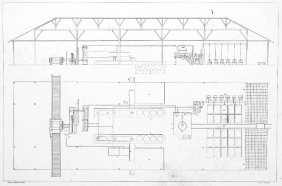 combinado con trenes jamaiquinos y tacho al vacío por D. DANIEL DUCREY.