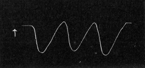 Fig. 119.