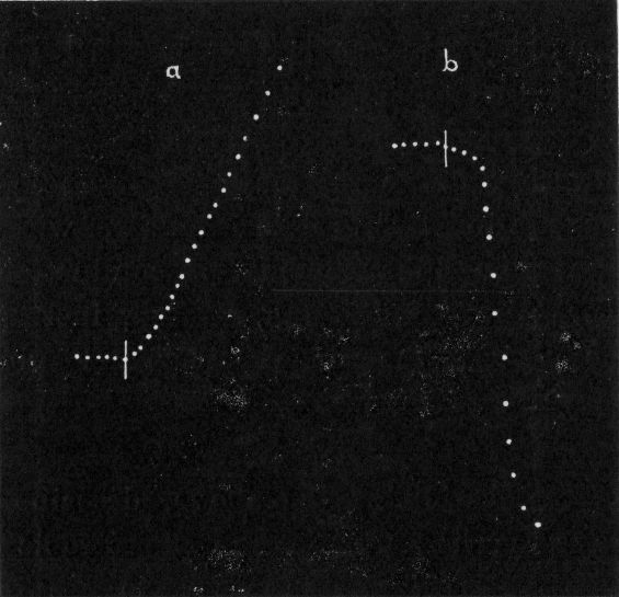 Fig. 145.