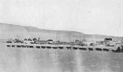 Picture of a thirty-three-dog team against the background of St. Michael