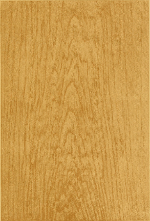 Plate 7. HEART GROWTH OAK, PENCILLED.