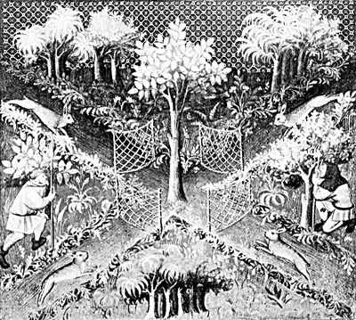 NETTING HARES IN THEIR "MUSES"