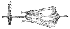 Fig. 25.—Asador.