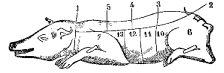 Fig. 83.