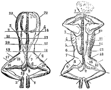 Fig. 84.