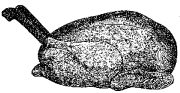 Fig. 95.