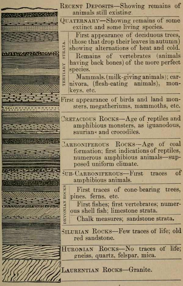 Section of the Crust of the Earth