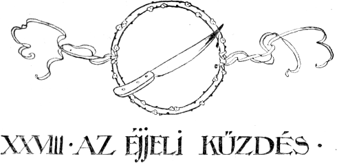 XXVIII. Az éjjeli kűzdés. XXVIII. Az éjjeli kűzdés.