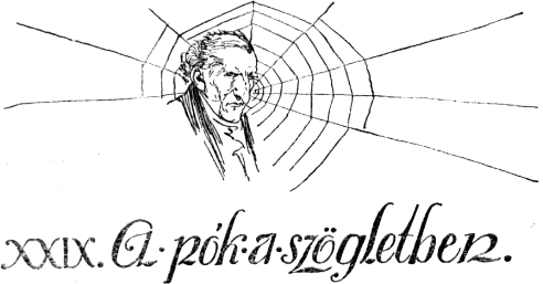 XXIX. A pók a szögletben. XXIX. A pók a szögletben.