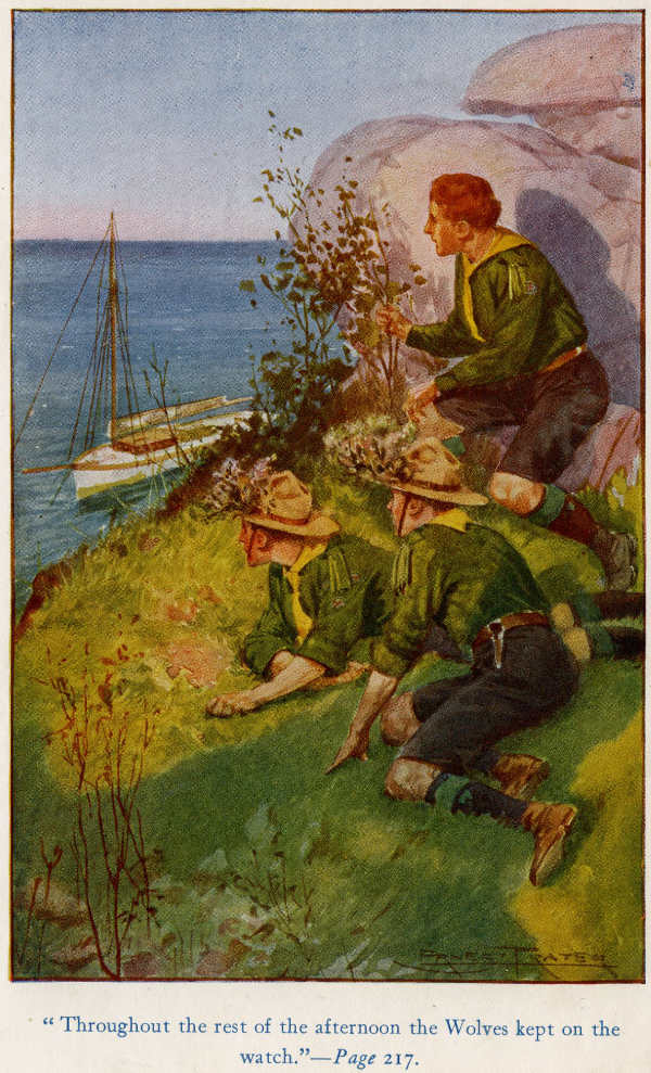 image: Seal_Island8.jpg