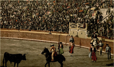 [Image not available: A Bull Fight]