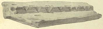 it looks like a  stone with short steps with notches cut out of the top step
