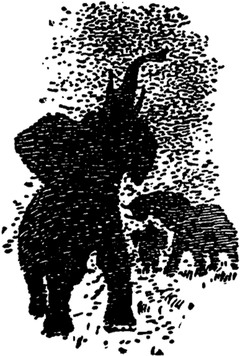 Elefanten im Heuschreckenschwarm