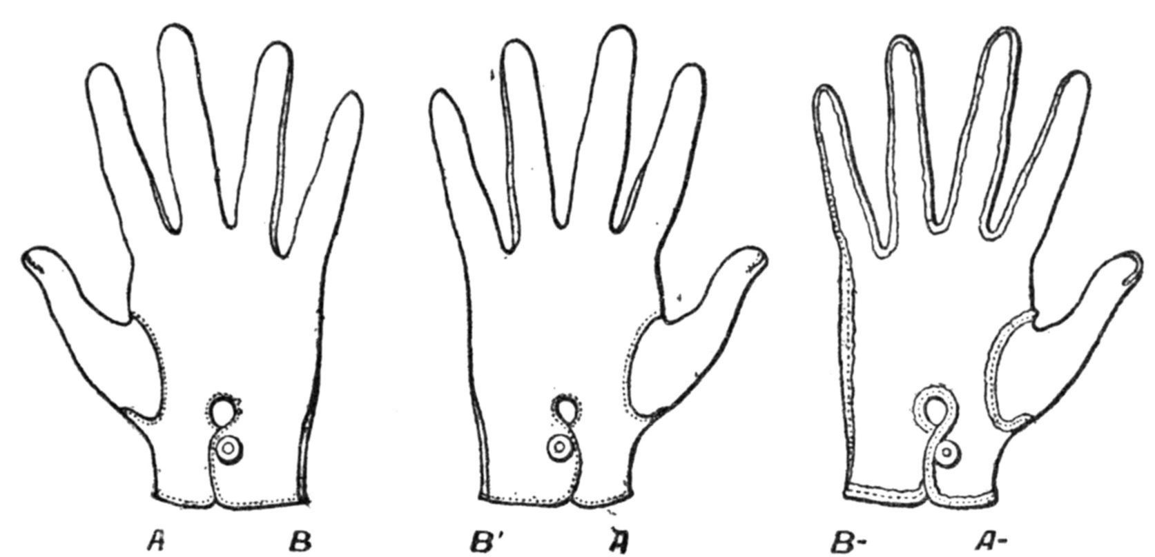 In space of three dimensions we cannot make a right hand glove and a left hand glove look the same no matter how we turn them around.