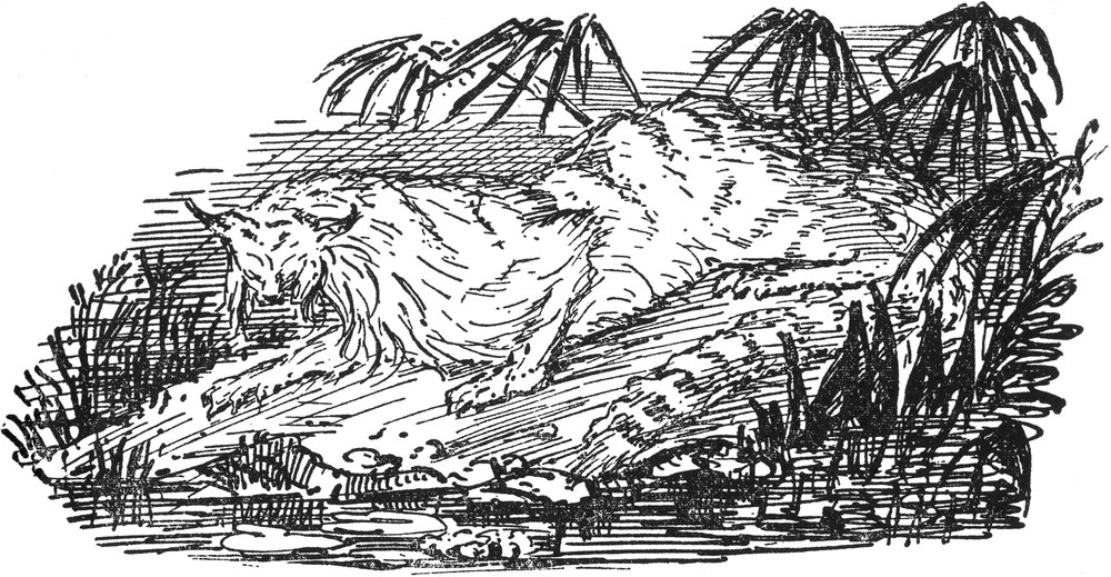 Ein persischer Tiger im   Gebüsch