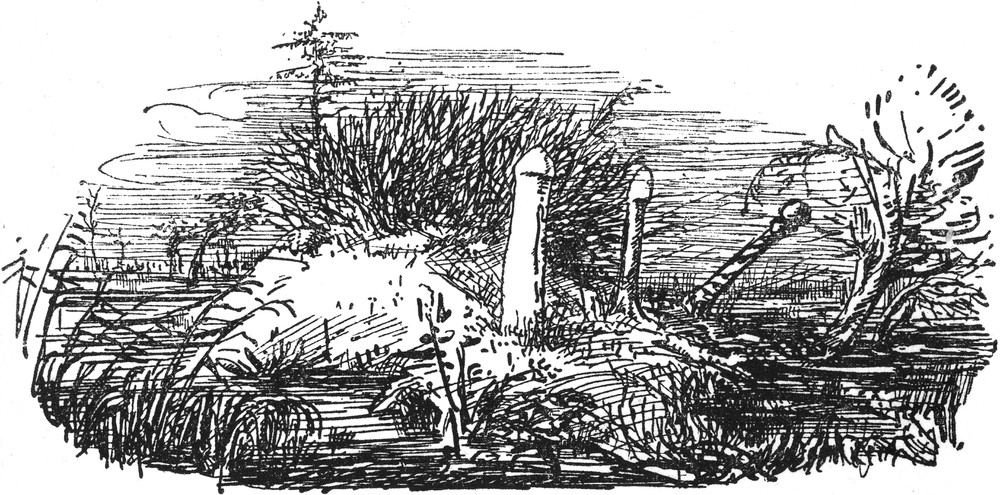 Ein unheimlicher Ort an   einem Sumpf