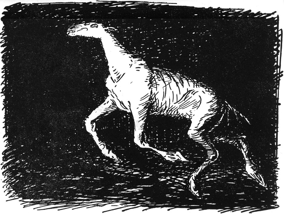 Das abgemagerte Pferd im   finsteren Souterrain