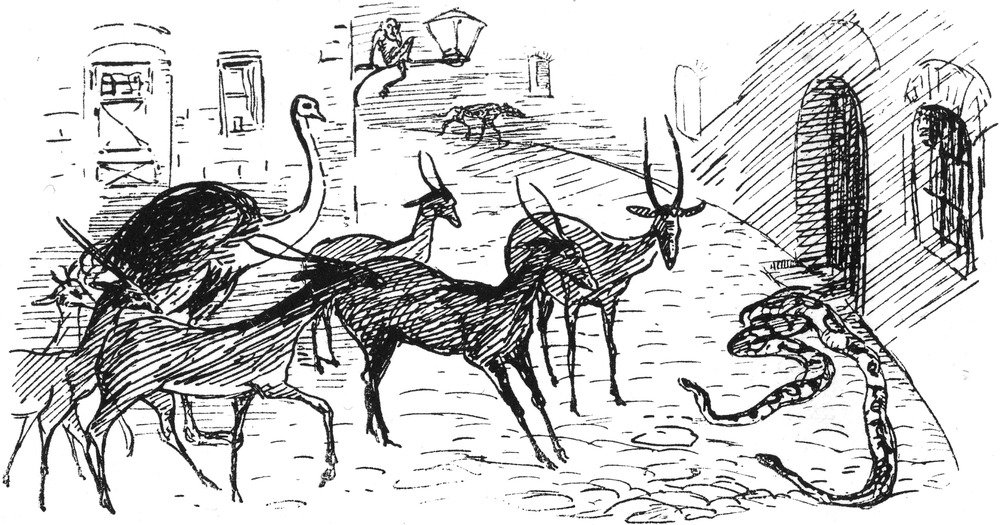 Wilde Tiere mitten in der   Stadt