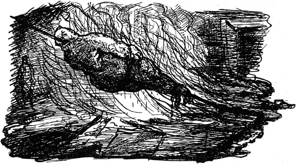 Doktor Lampenbogen am   Bratspieß