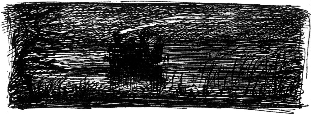 Mit der Lokomotive durch   den Sumpf