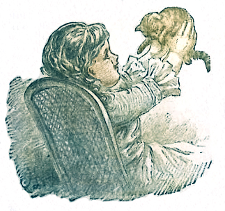 image016