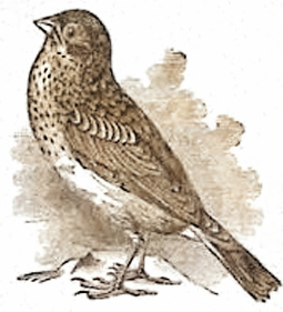 image021