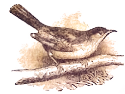 image022